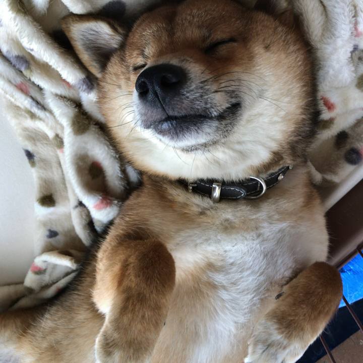 Ace6c6cc 9a54 4fed be3d f526faea2b63 1533075949962