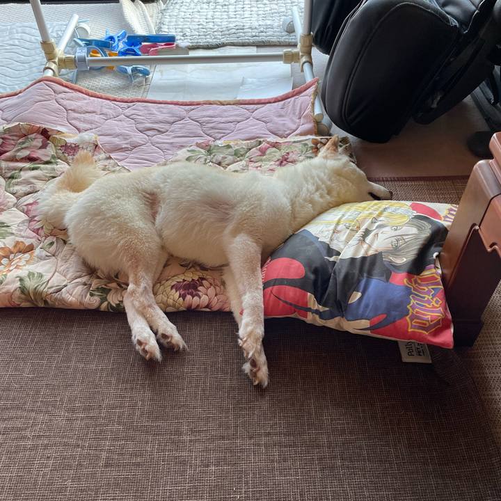 Ace6d379 a923 459a 9f59 6bc7c658feee 1658822192495