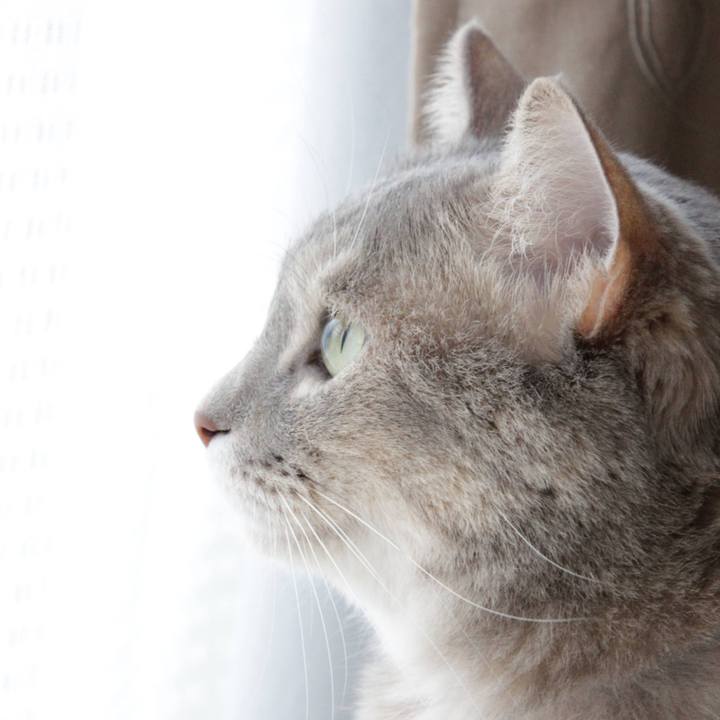 Ace71178 9035 4a92 a3ea 55821f0eaa47 1628589425432