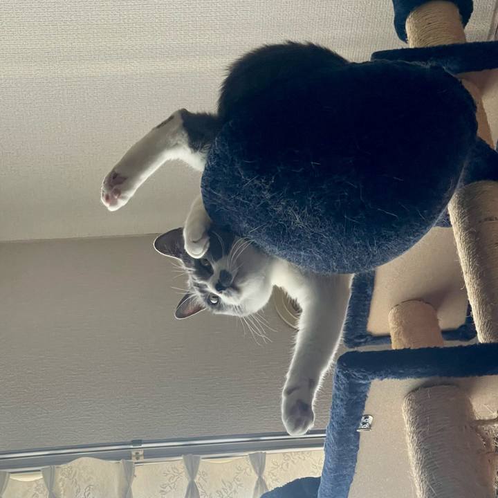 Ace769a6 3335 4973 90b7 5fcdaadaff71 1716269750954