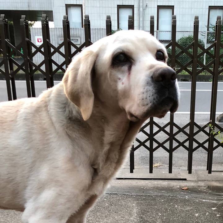 Ace7a933 023e 4ee8 b9e9 a916bc3e5116 1507669967000