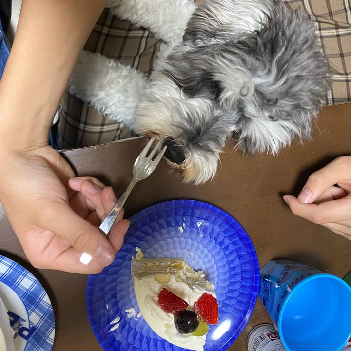 Ace7e230 59af 4b41 8b5d bd34d9b3945a 1587736337713