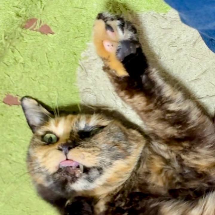 Ace7e67c e659 4d43 bc8b a0ae3ca73499 1747766197699