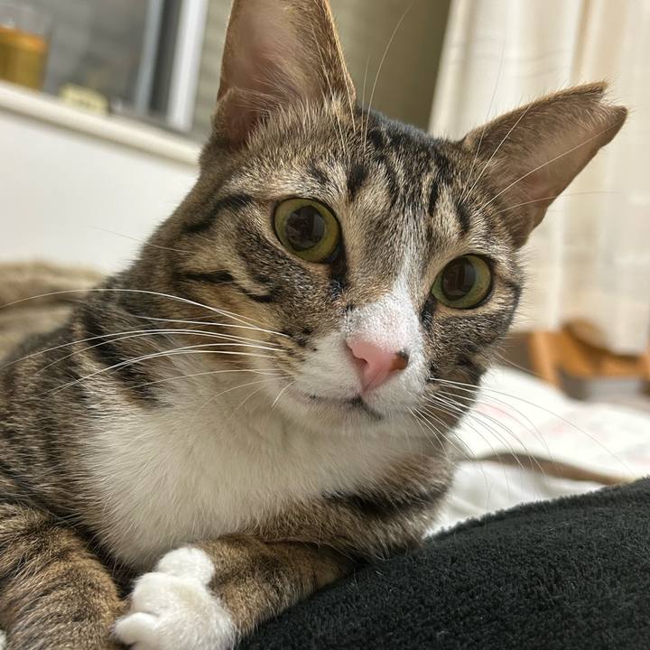 Ace80911 c06b 4f7f bb8d 6c898e065bbb 1770120667038