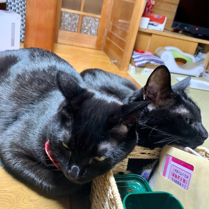 Ace80f4e be64 42d4 abd7 60832c21b351 1608643954892