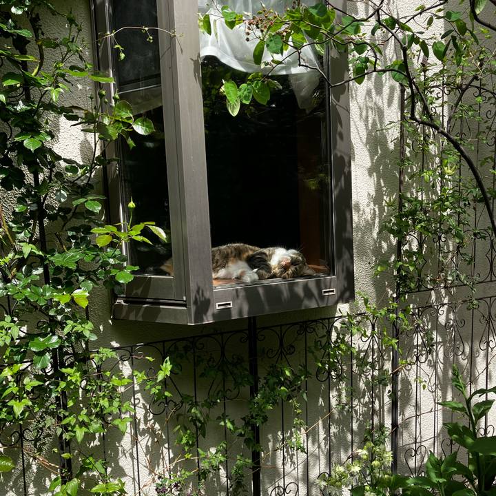 Ace84185 79b1 4ab0 af2a 004423093ac6 1776561609711