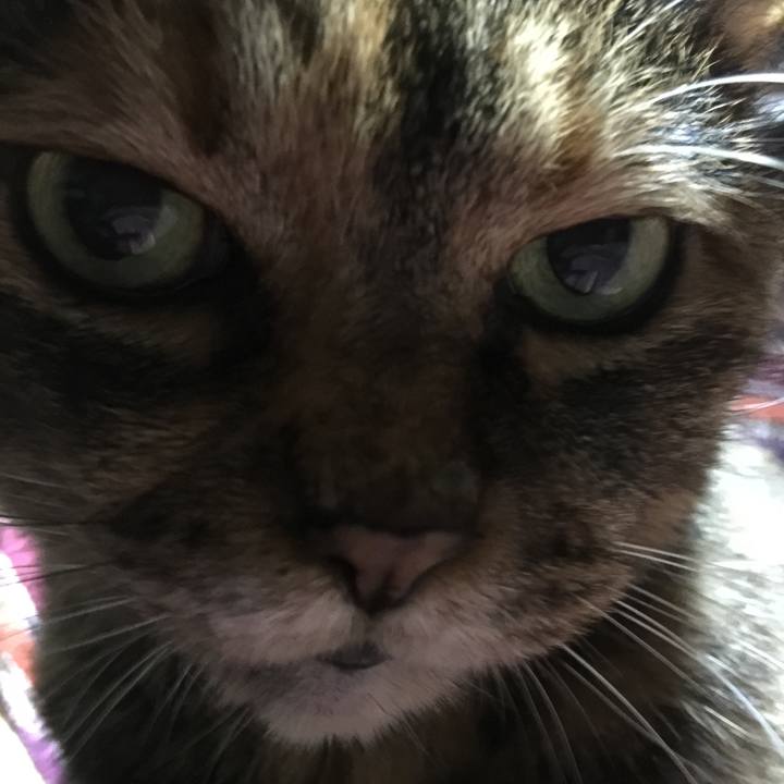 Ace85851 bafa 4d31 80be a7fd111bef43 1553346241402