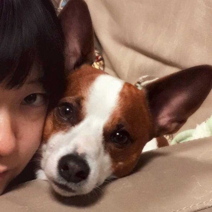 Ace8ac38 e442 4d55 a339 1f0343d1f27f 1525197483165