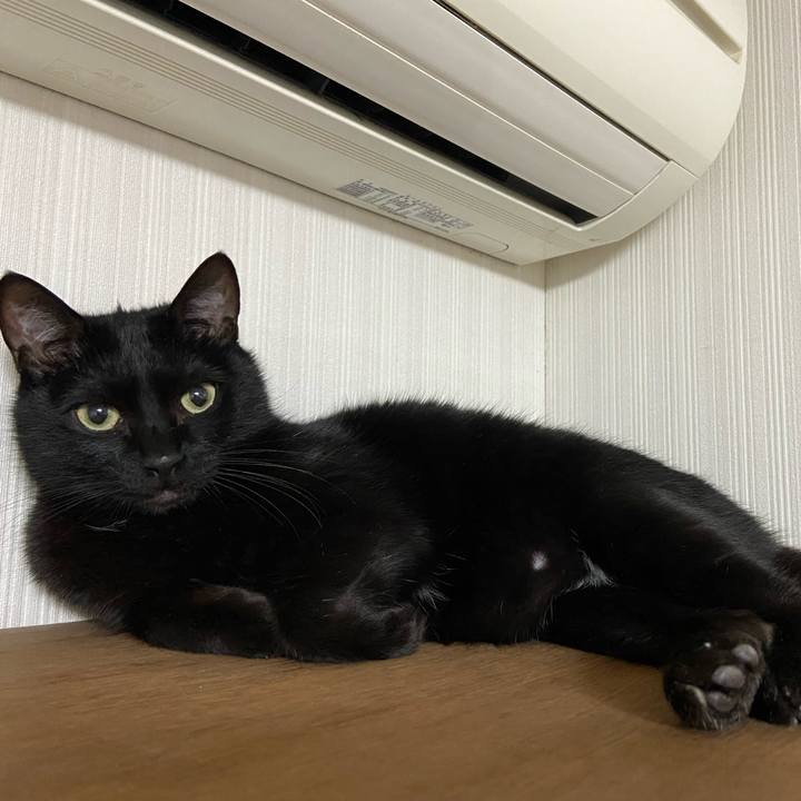 Ace8c74e 18c5 4ce7 b853 33a972be5ed7 1681472994880