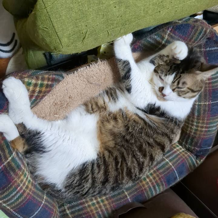 Ace8cd87 b28d 48e2 a400 9469d92a5007 1696312128233