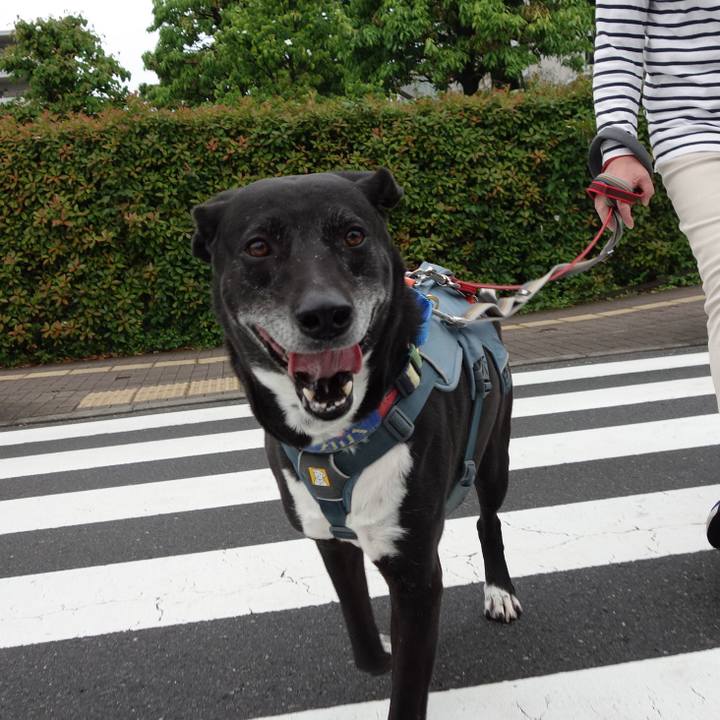 Ace8e73a 695a 4a9f a6dd e016fe6723af 1715821944101