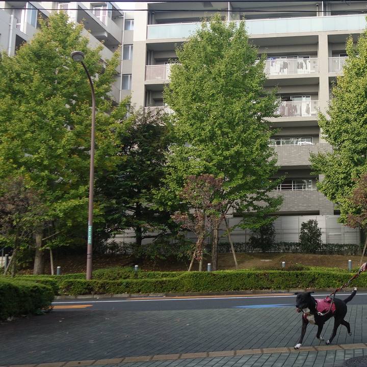 Ace8f6a2 01a1 4ce0 ab7d f42b112fc6a9 1699231666440