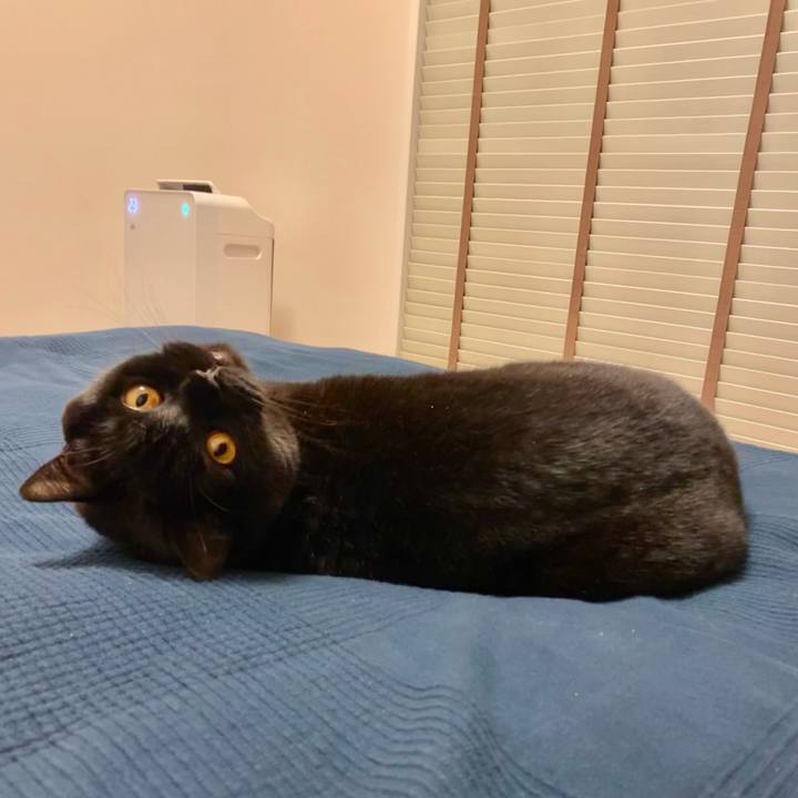 Ace905ff 74fc 476f 8268 bbae4076c06f 1637225605090