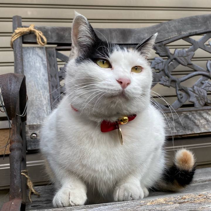 Ace94058 218f 43cd b232 eff40df94887 1637792098299