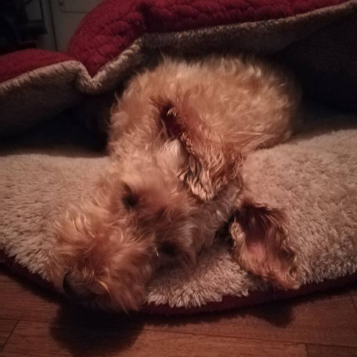 Ace94700 3121 4ef0 8d28 98811919e7f5 1564885147992