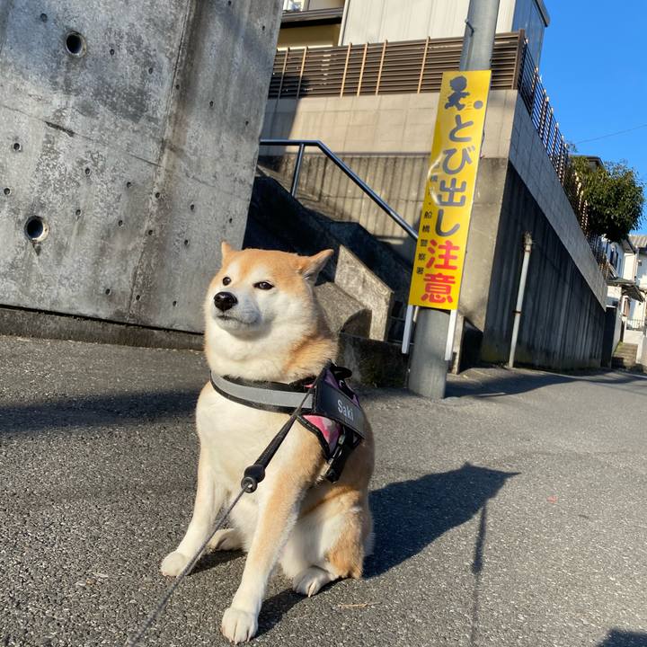 Ace94f9a fefd 4f28 98dd a13c5774089f 1646662353965