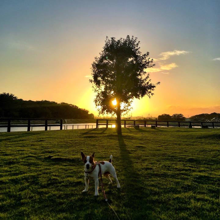 Ace9707c d079 4761 8c8a e297b7738121 1535193619561