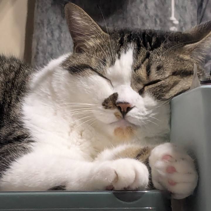 Ace9e05d 5cbb 414f 89b0 db919409f156 1757074282896