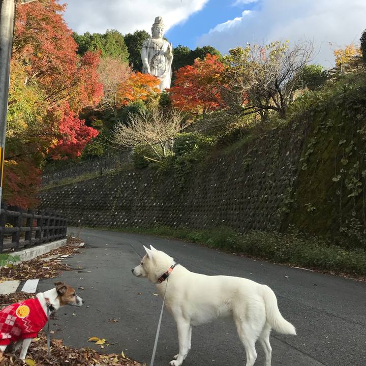 Acea0dab daa3 4aca b468 43fdcad24b0c 1511084792097