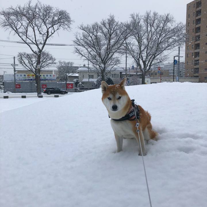 Acea1a62 01ce 4272 8c54 eb0c1e509d5a 1579479554646