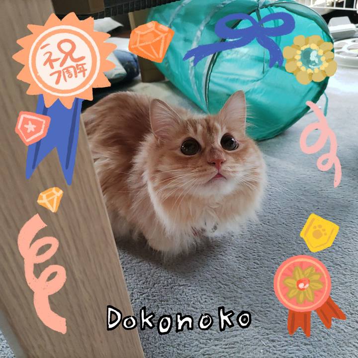 Acea23e0 bc40 46db 9c80 8e77ff6e2734 1686003254602