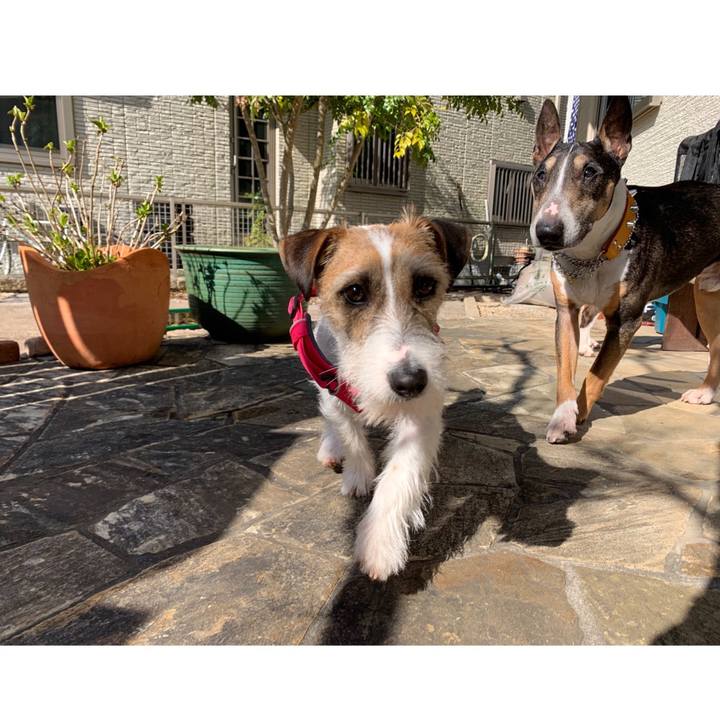 Acea26fa 0edf 4348 9586 648fa785a32b 1584252897015