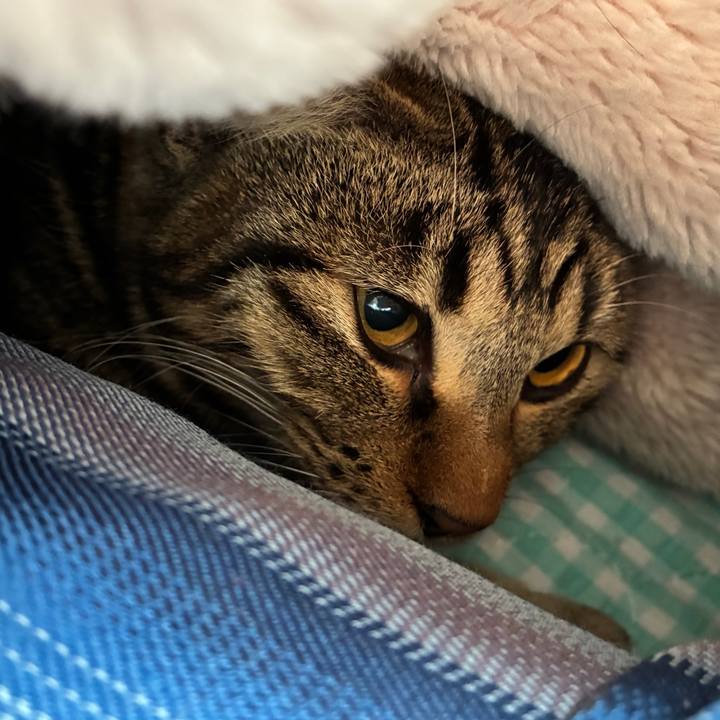 Acea5cd0 1649 4167 accc 6d62e5cf8f44 1743893028480