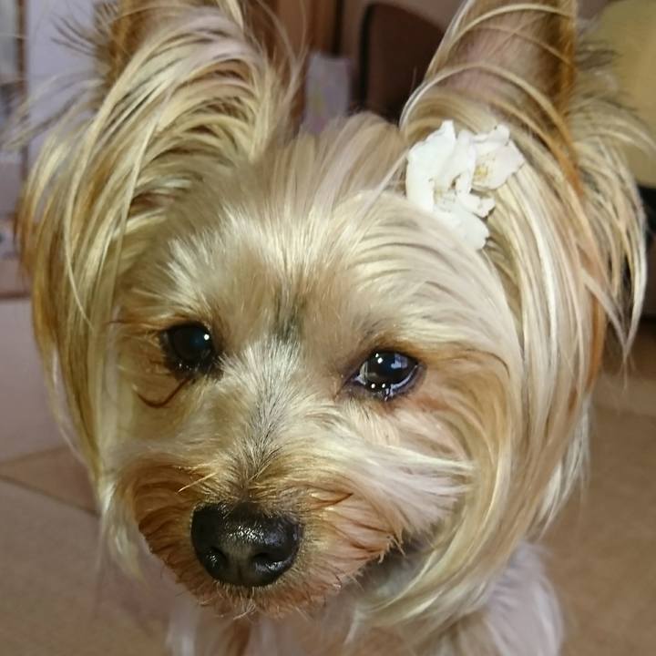 Acea64a3 58f1 46a8 9bd7 4fd0fe3dfaad 1554450349041