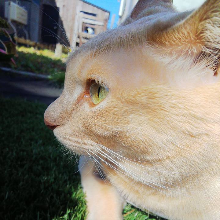 Acea8ebc b11e 4d88 8d2f ea1c3d153f27 1664072399362