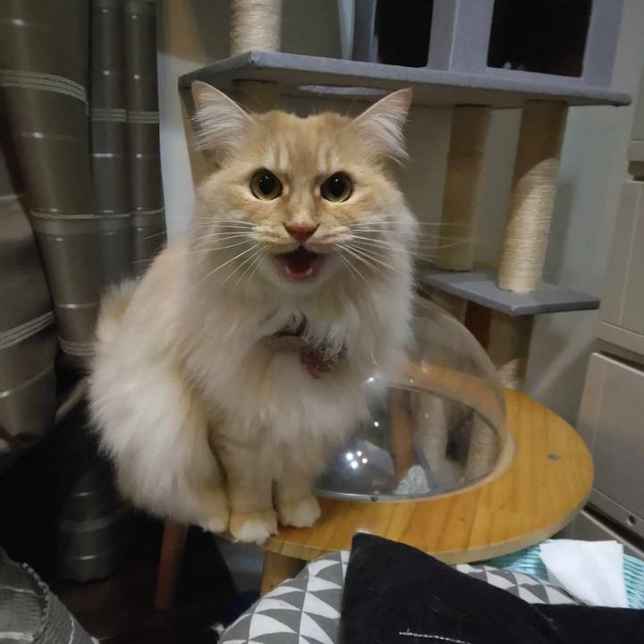 Acea99f8 d780 4369 9f4d 7b21ab52d547 1708600977904