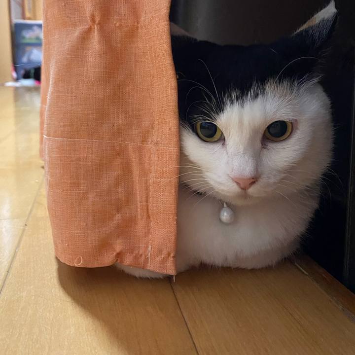 Aceaa2ec 0cea 424c a620 ddc624aa794e 1652874661759