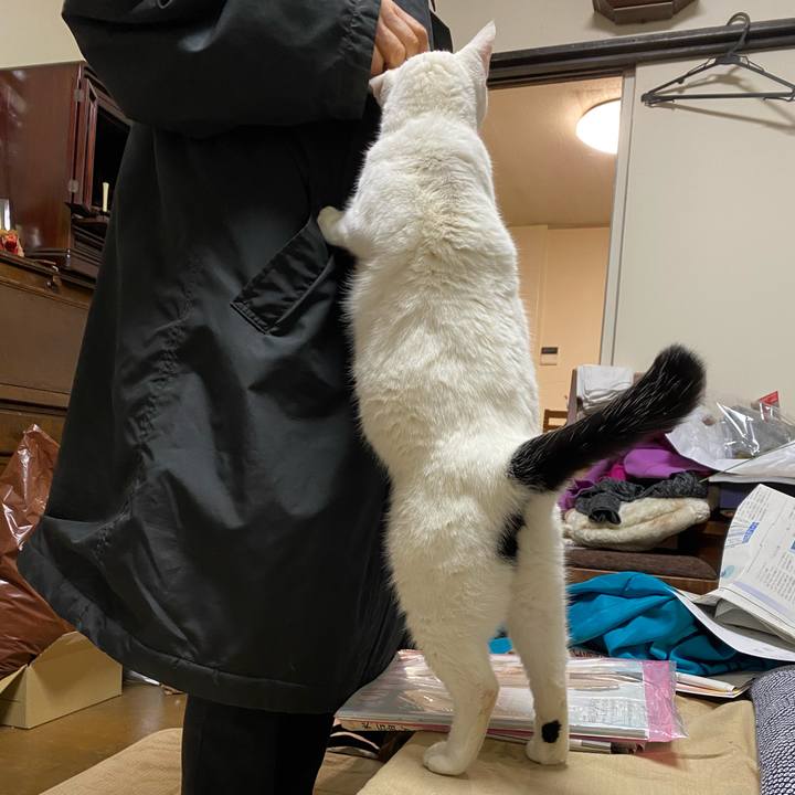 Aceab7d6 6aa9 4638 83b2 5f7491f352a3 1611836558134