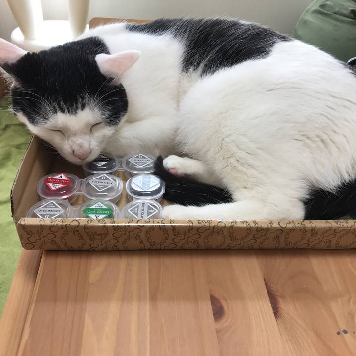 Aceac056 351e 4059 8c74 a2cebfe799aa 1519693774508