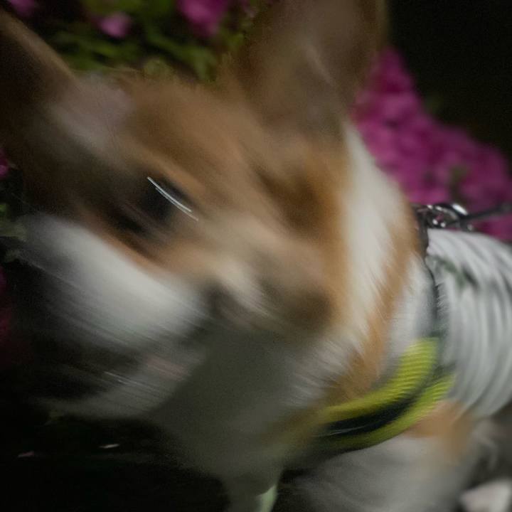 Aceb3ef3 2cb7 4a74 88d8 56c1a8a4ceaf 1745145396677