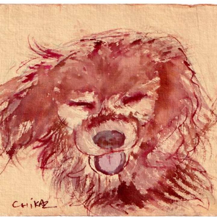 Aceb4503 5ae5 456b 8b6e 5c8e41beaa78 1764842616805