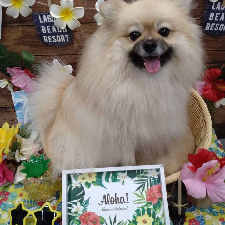 Aceb5310 d3f8 4c73 b3d9 42033a2c64cf 1661138421325