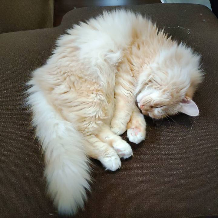 Aceb553d f8a1 41d6 920c 281b4f7e82d4 1720490815291