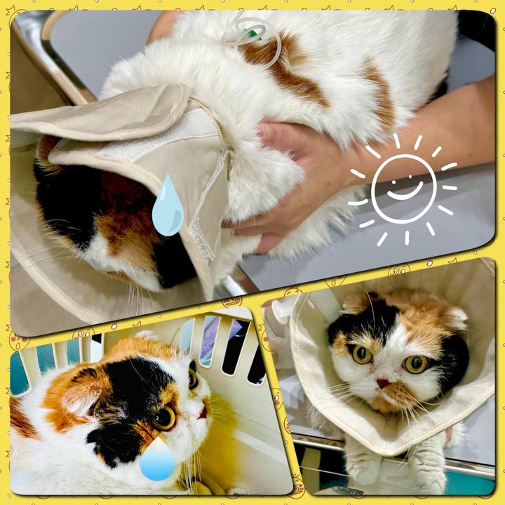 Aceb5a02 bff3 44c4 b981 4163f57d33fd 1727407121999