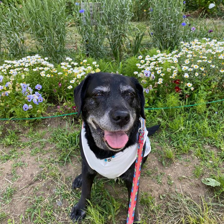 Aceb7d6c aa9f 4482 8d5c f0da931c7190 1653376270261