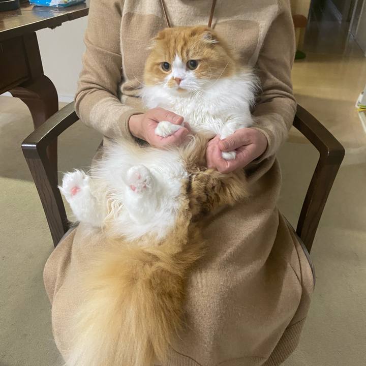 Aceb8634 1a2f 4611 b0e8 aa8ecde91cd7 1669190914572