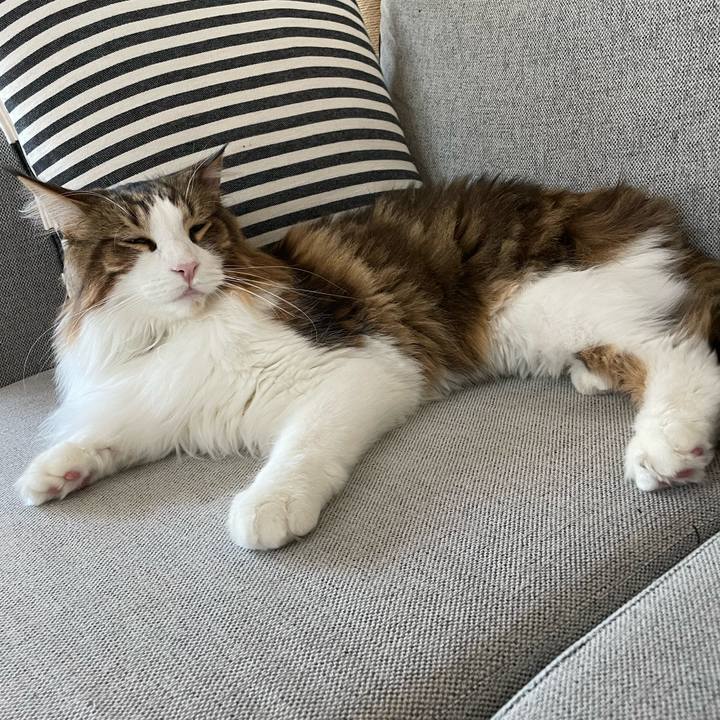 Acebb22d 6c64 4911 831c a95478dceaef 1667772523243