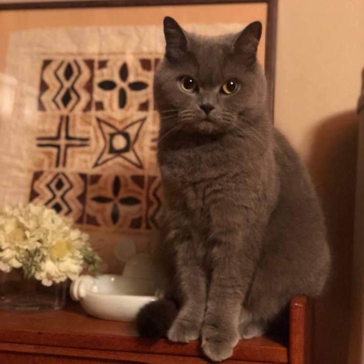 Acebedc4 e5d9 42e1 ac39 4f9fedac7955 1619089884243