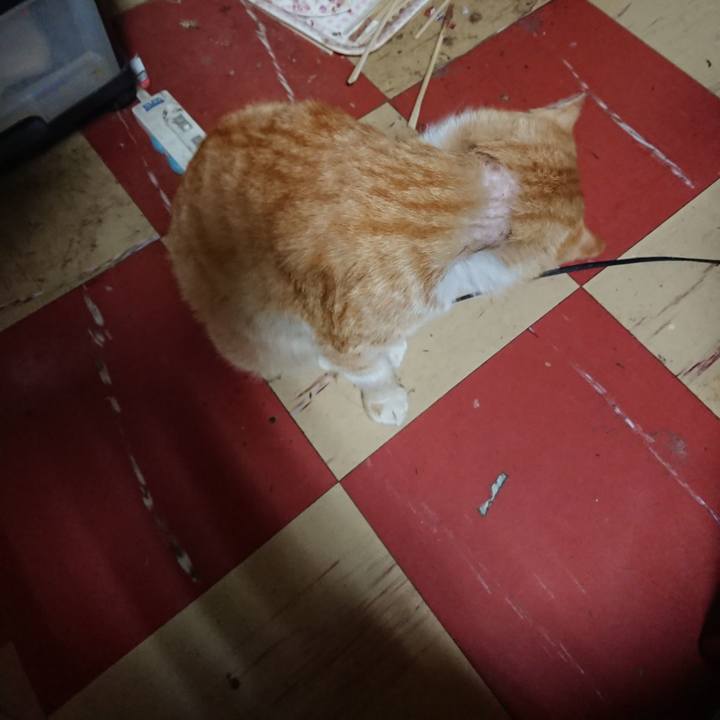 Acec3227 eea0 455c ab6c 1b233fde20de 1557520059690