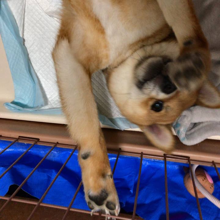 Acec3371 8dbd 4e75 9073 34a8b58ab2e5 1524262647440