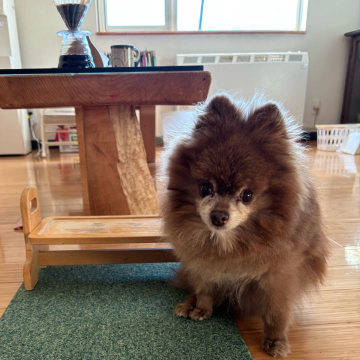 Acec4dda dff8 4e42 9db2 d1696f7ff0fb 1763251652599