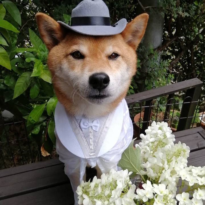 Acec62ad c9a8 443c a4f7 8d6544445e28 1591588255237