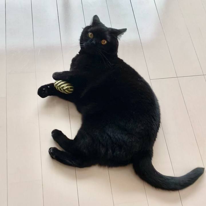 Acec7c1f e84e 4fa2 a615 651da2a40452 1620608927194