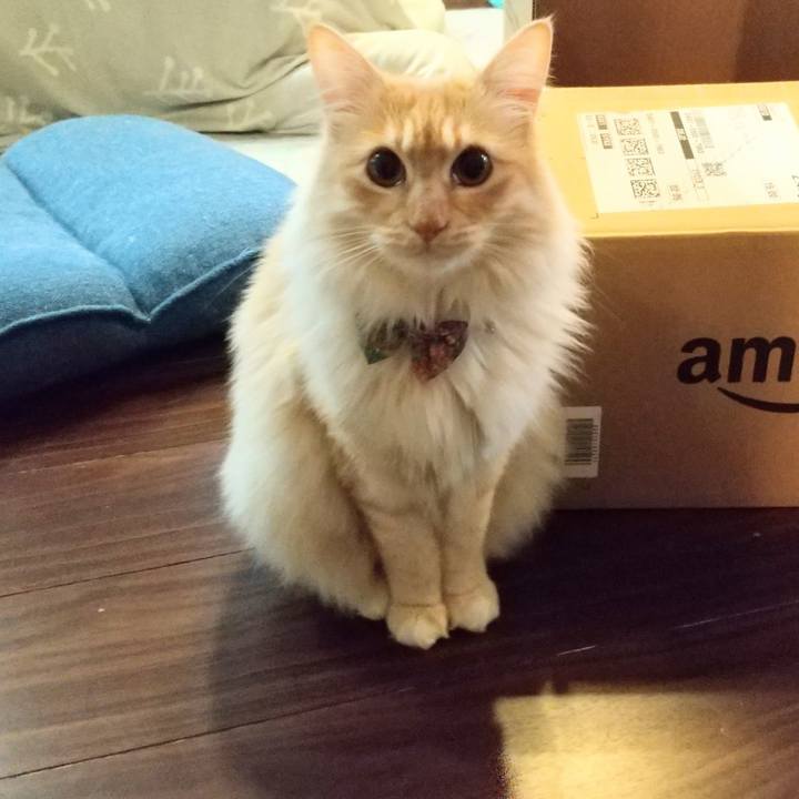 Acec918e 77f6 4a69 9c90 0243df26b99f 1647208968662