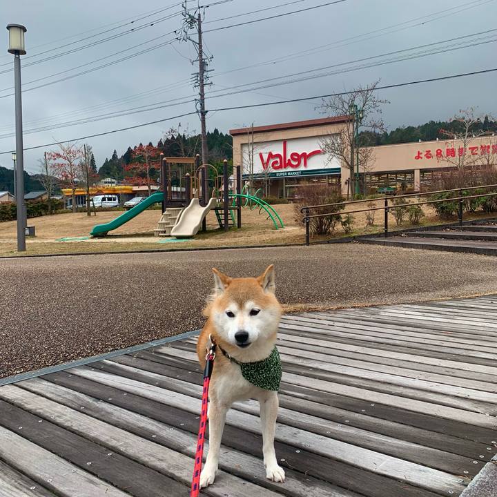 Acecb1e7 846f 42a7 a75c 1731e1fb93f9 1673866138815