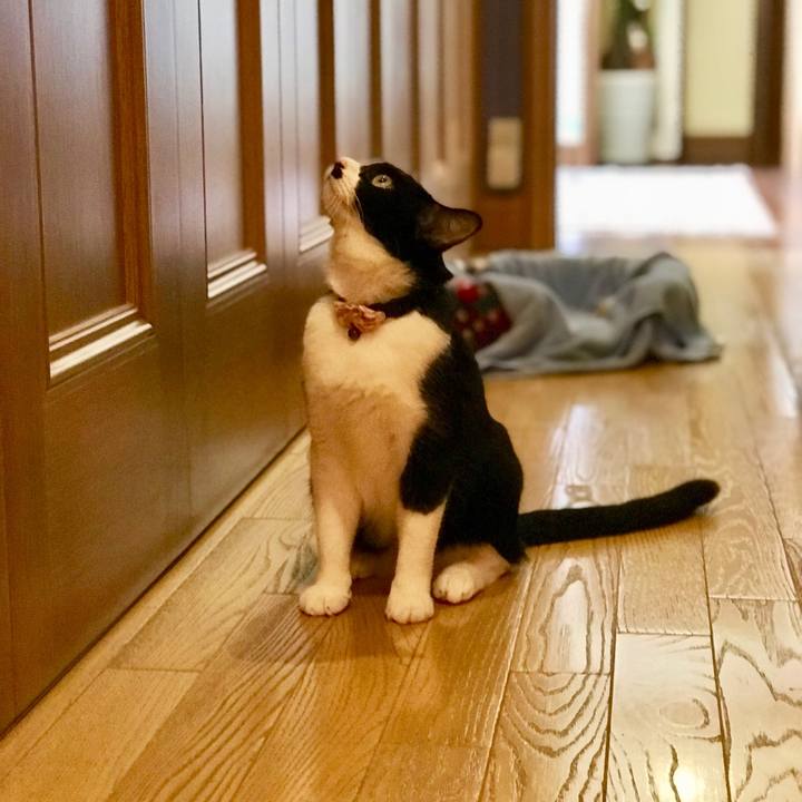 Aceccfc0 1982 463b 803e d06b39ee9702 1535158741502